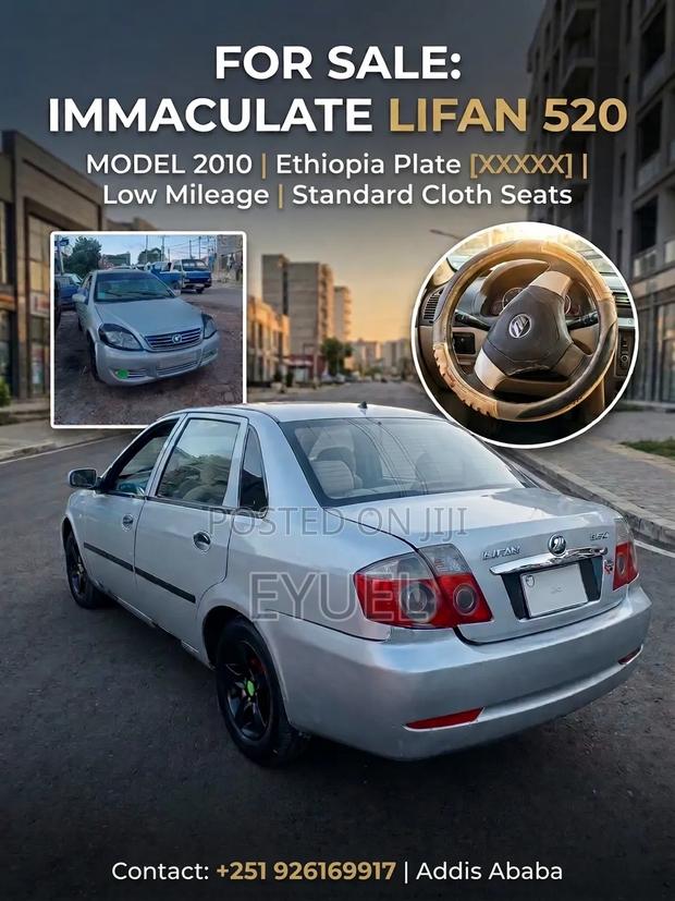 Lifan 520 2010 Gray