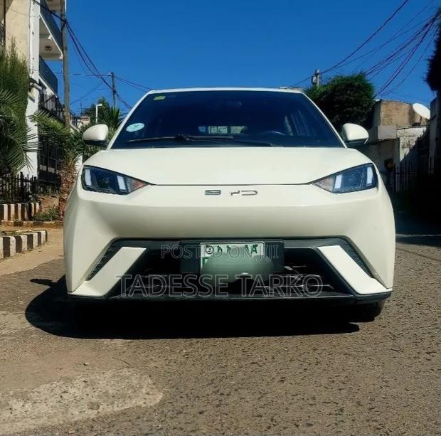 BYD Seagull 2025 White
