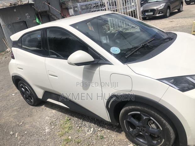 BYD Seagull 2024 White