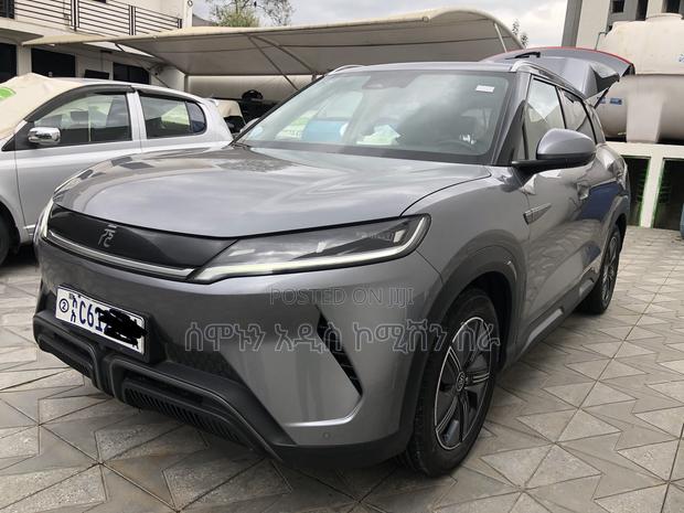 BYD Yuan Up 45 kWh FWD 2024 Gray