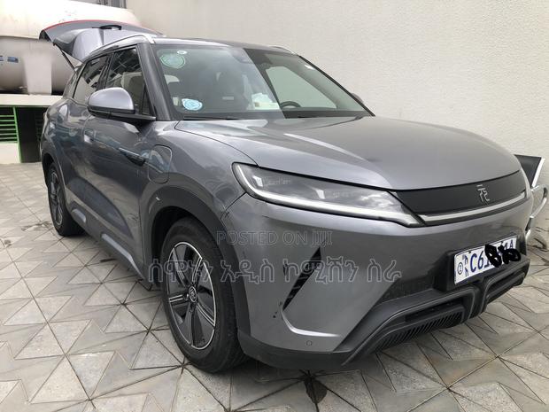 BYD Yuan Up 45 kWh FWD 2024 Gray
