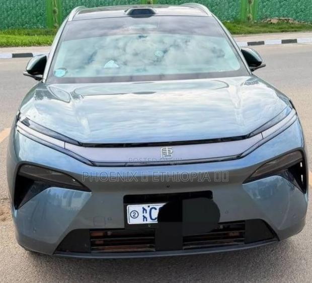 BYD Tang DM-i 2025 Gray