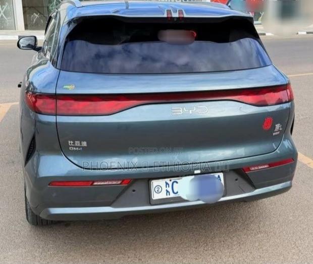 BYD Tang DM-i 2025 Gray