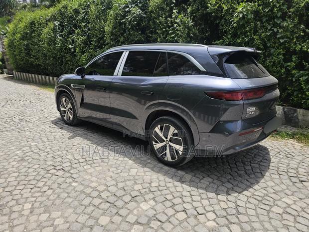 BYD Tang EV 2025
