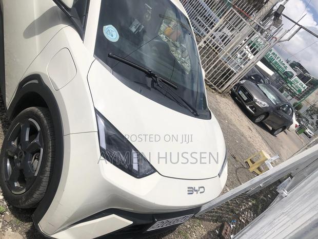 BYD Seagull 2024 White