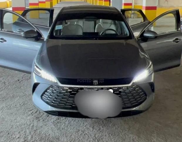 BYD Qin Plus DM-i 2025 Gray