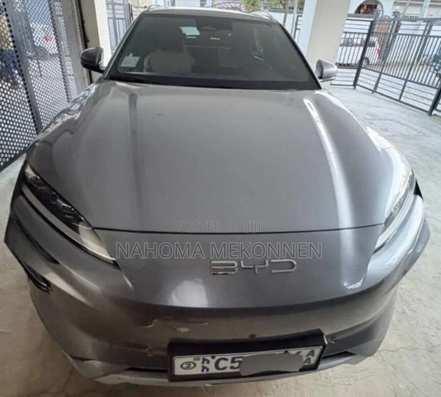 BYD Song Plus 2024 Gray