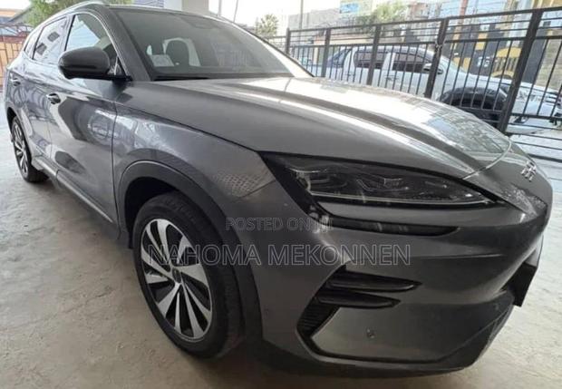 BYD Song Plus 2024 Gray