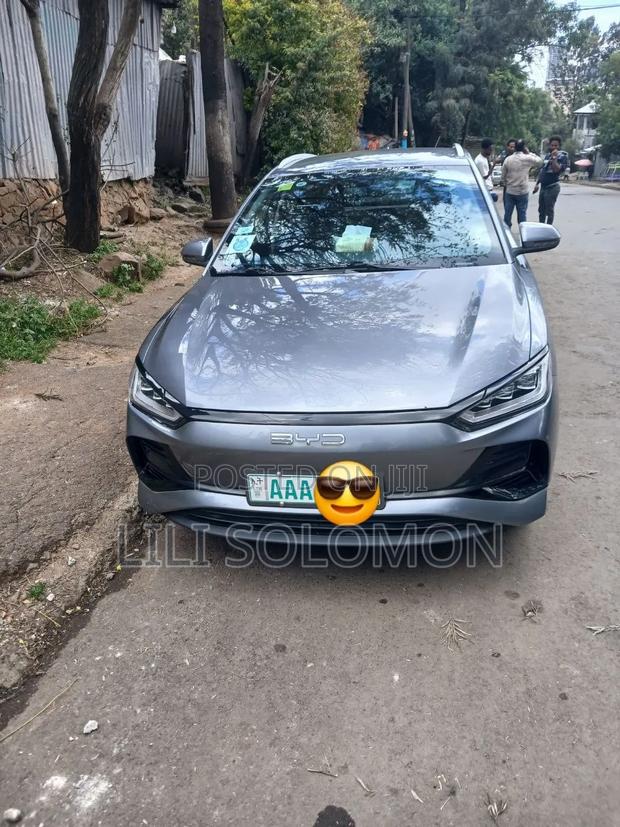 BYD E2 43 kWh 94 hp FWD 2025 Gray