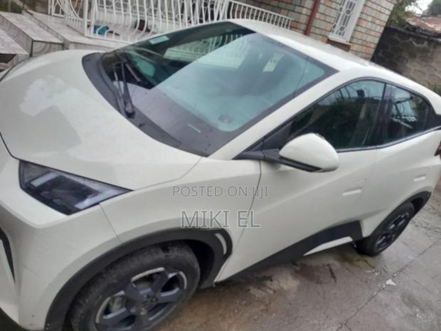 BYD Seagull 38 kWh FWD 2024 White