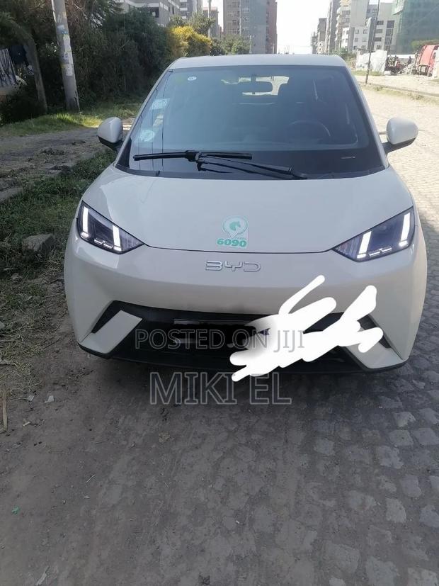 BYD Seagull 38 kWh FWD 2024 White