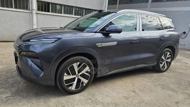 BYD Tang DM-i 2025 Gray