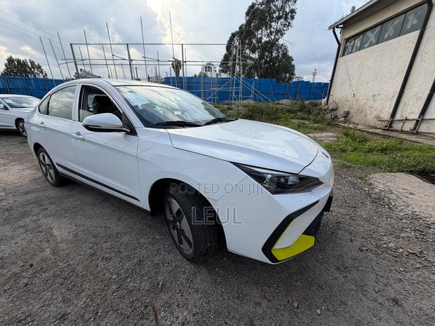 New Dongfeng Nammi 01 2024 White