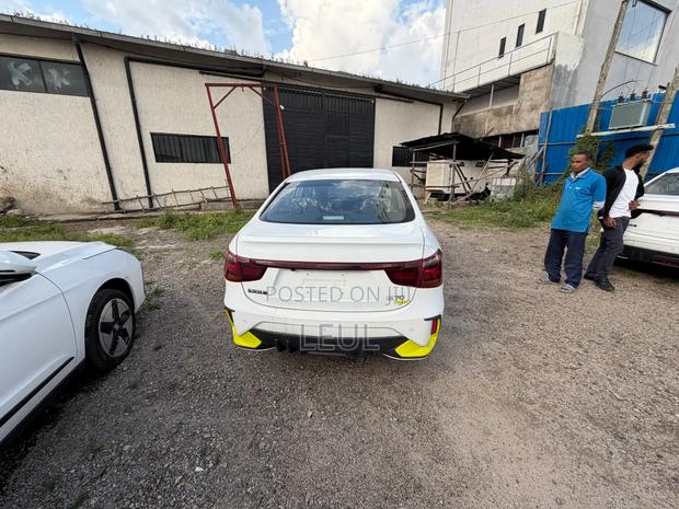 New Dongfeng Nammi 01 2024 White