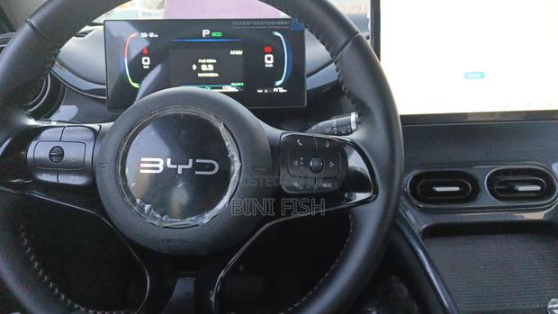 New BYD E2 43 kWh 94 hp FWD 2025 Gray