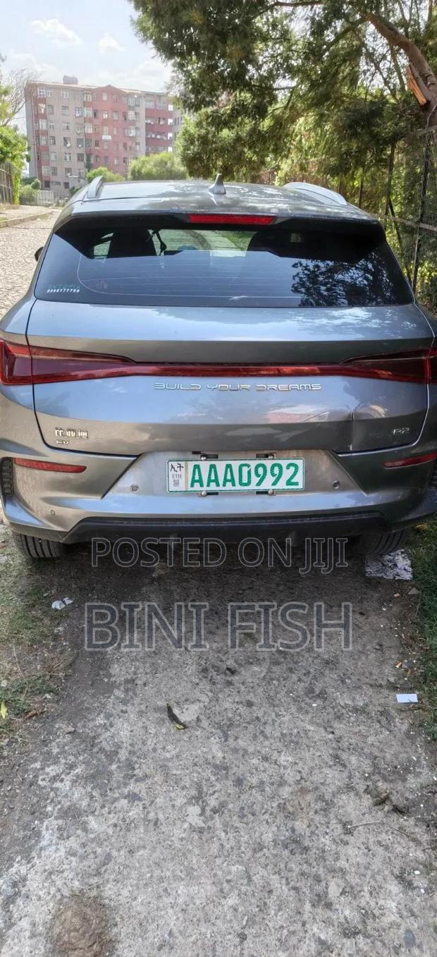 New BYD E2 43 kWh 94 hp FWD 2025 Gray