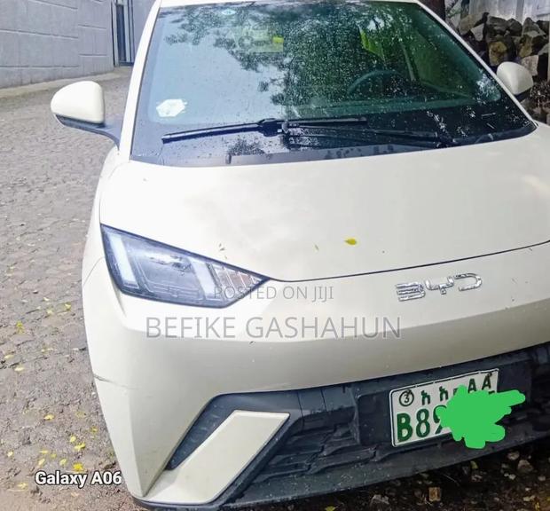 BYD Seagull 2024 White