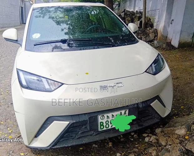 BYD Seagull 2024 White