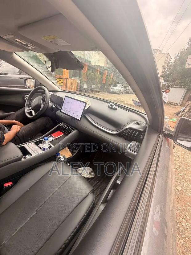BYD Yuan Plus 2025 Gray