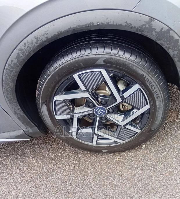 BYD Yuan Plus 2025 Gray