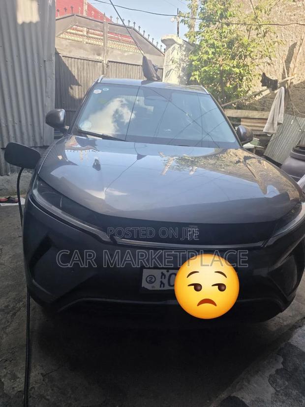 New BYD Yuan Up 2025