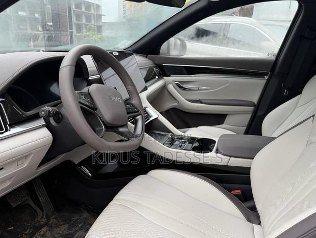 New BYD Song Plus DM-i 2025 Gray