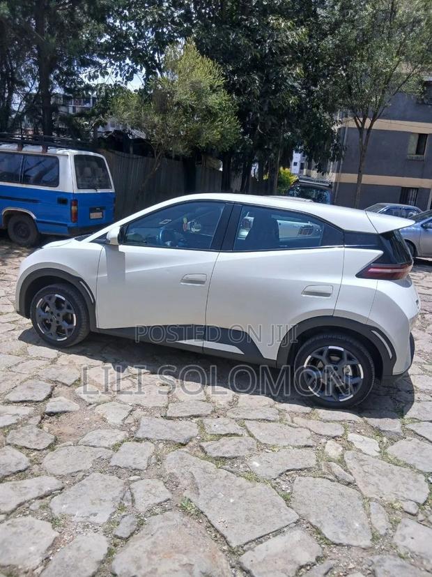 BYD Seagull 2025 White
