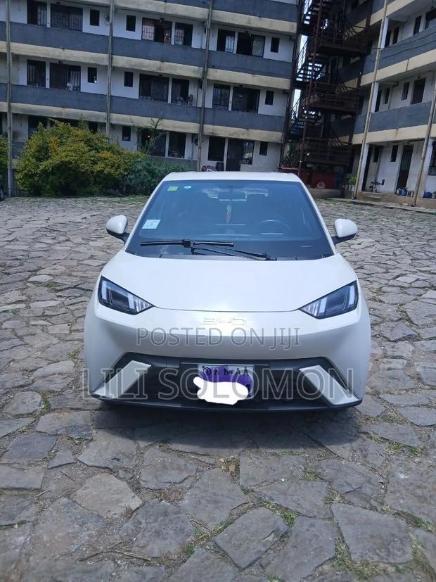 BYD Seagull 2025 White