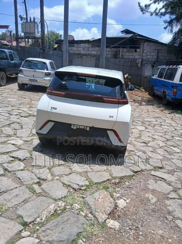 BYD Seagull 2025 White