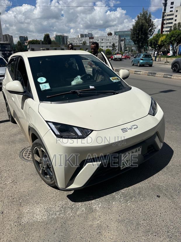 BYD Seagull 2024 White