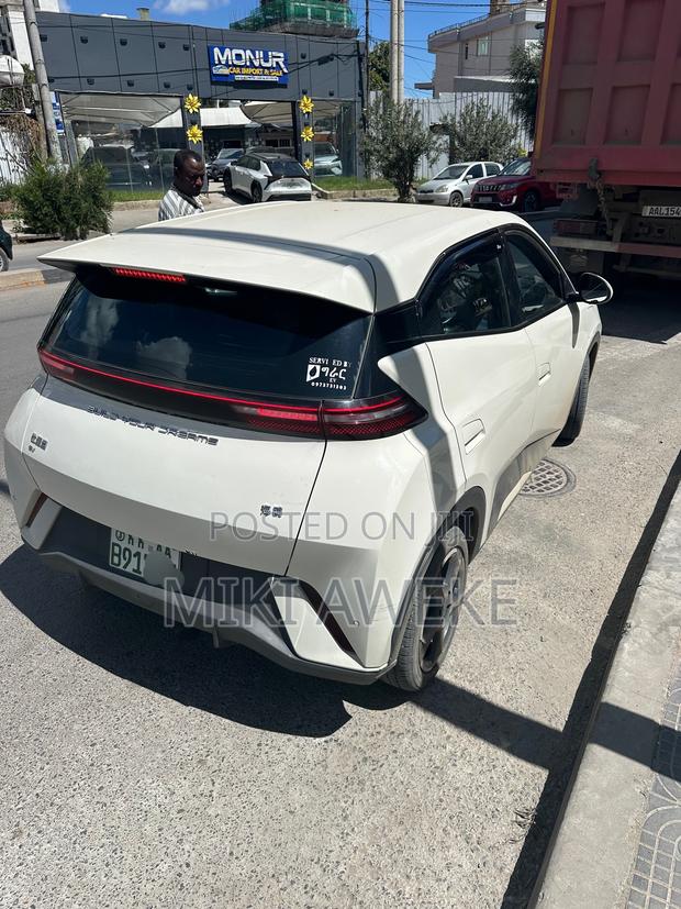 BYD Seagull 2024 White