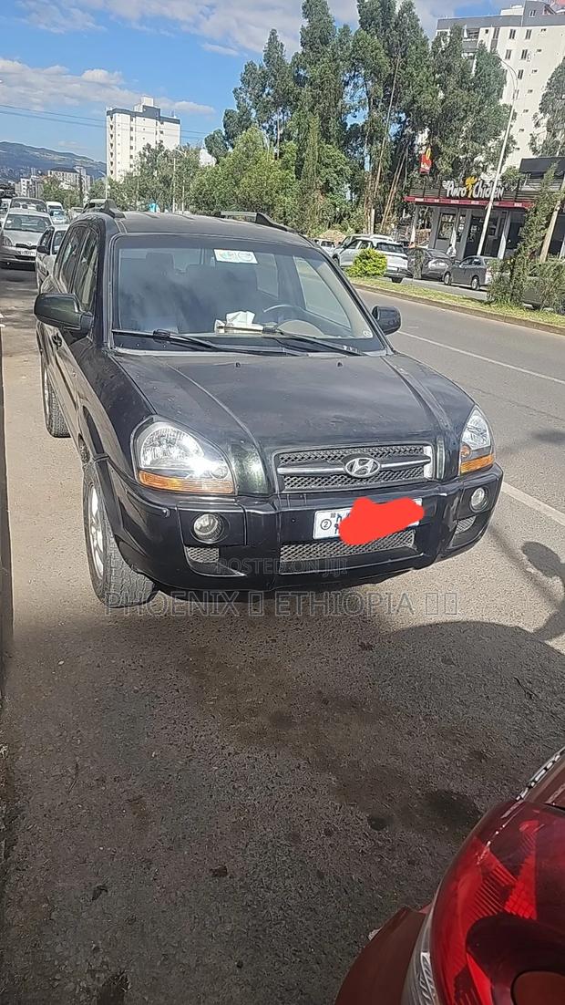 Hyundai Tucson 2009 Gray