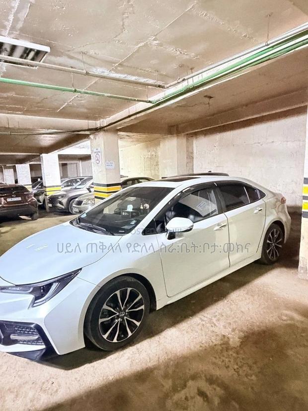 Toyota Corolla 2023 White