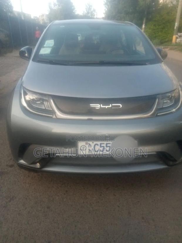 Car 2025 Gray