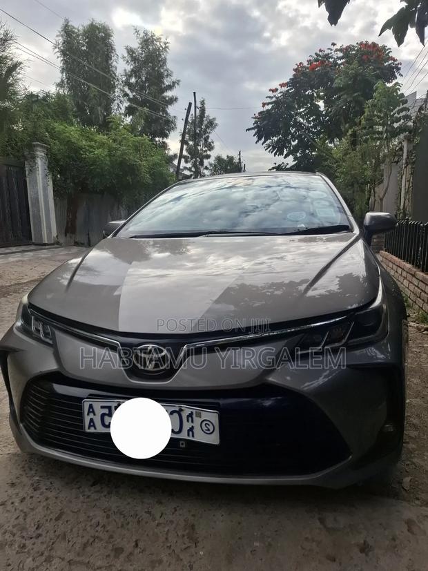 Toyota Corolla 2022 Brown
