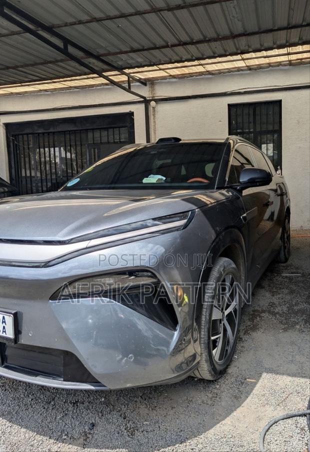 BYD Tang EV 2025 Gray