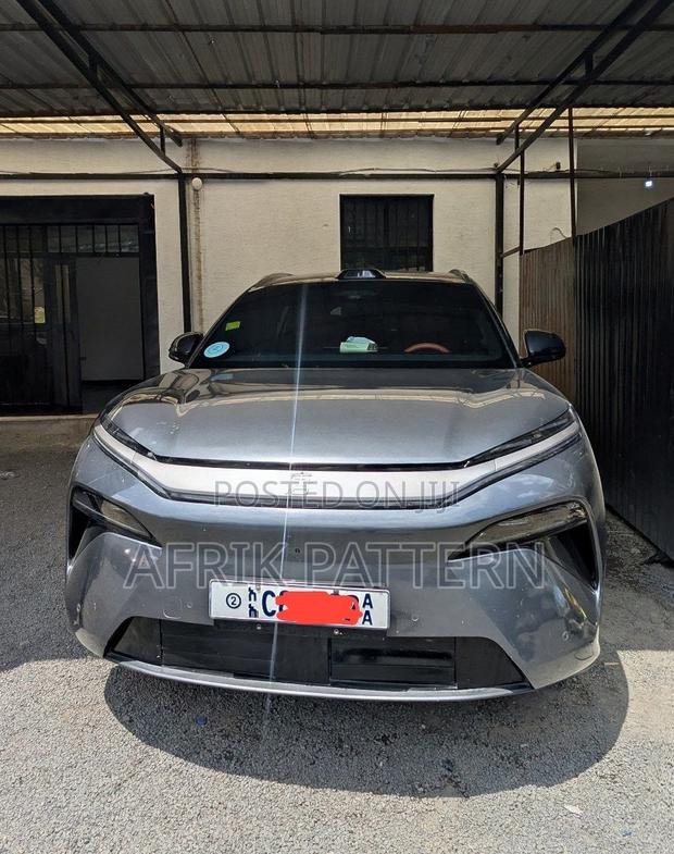 BYD Tang EV 2025 Gray