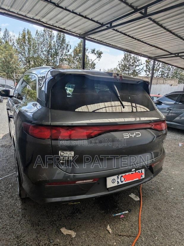 BYD Tang EV 2025 Gray