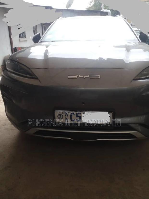 BYD Song Plus 2024 Gray