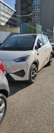 BYD Seagull 2025 White for sale