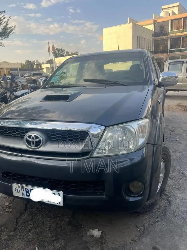 Toyota Hilux 2010 Gray