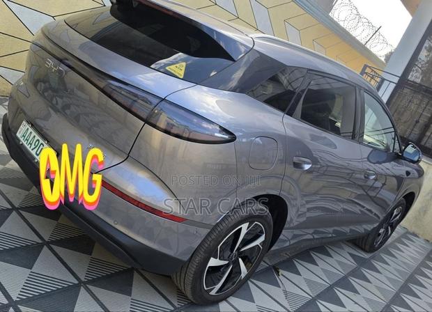 New BYD Sealion 06 EV 2025 Gray