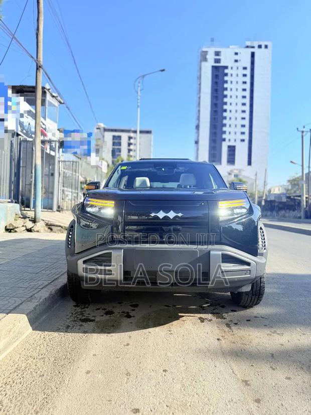 New BYD Leopard 3 2026 Black