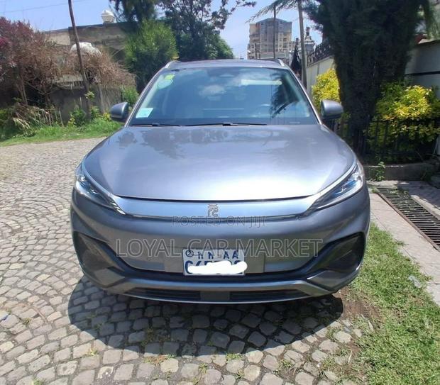 BYD Yuan Plus 2024 Gray
