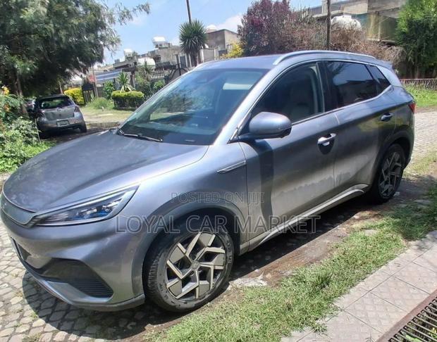 BYD Yuan Plus 2024 Gray