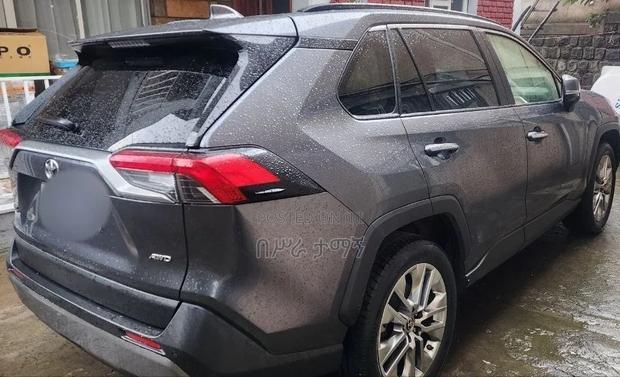 Toyota RAV4 Adventure AWD 2020 Gray