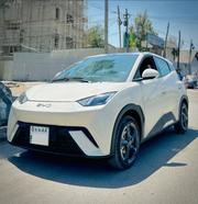 BYD Seagull 2024 Gray for sale