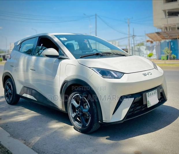 BYD Seagull 2024 Gray