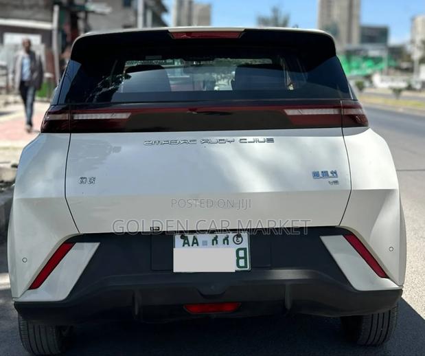 BYD Seagull 2024 Gray
