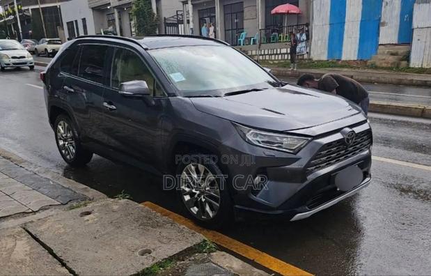 Toyota RAV4 2019 Gray